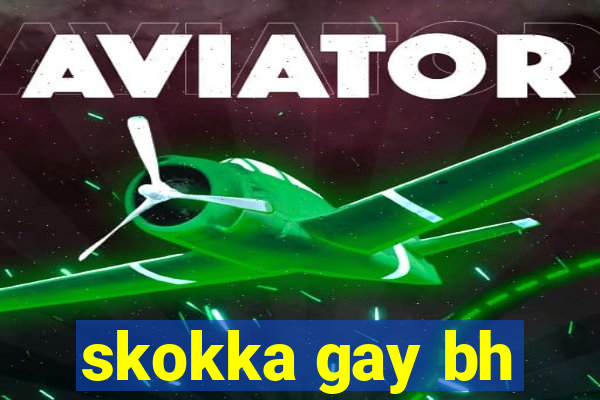 skokka gay bh